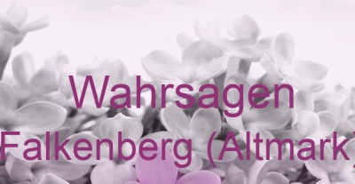 Wahrsagen Falkenberg (Altmark) | Top-Experten für Kartenlegen, Wahrsagen, Hellsehen, Zukunftsdeutung.
